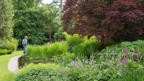 A visitor looks at the pond in the garden at Chirk Castle